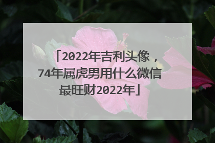 2022年吉利头像,74年属虎男用什么微信最旺财2022年