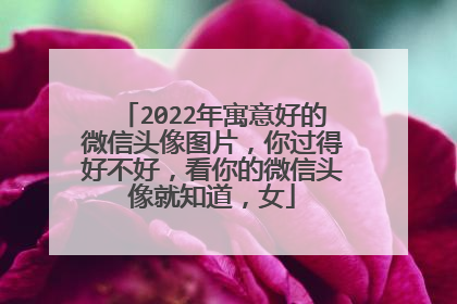2022年寓意好的微信头像图片,你过得好不好,看你的微信头像就知道,女