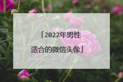 2022年男性适合的微信头像