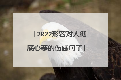 2022形容对人彻底心寒的伤感句子