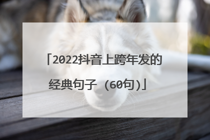 2022抖音上跨年发的经典句子 (60句)