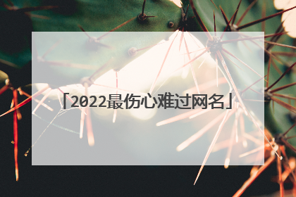 2022最伤心难过网名