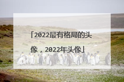 2022最有格局的头像,2022年头像