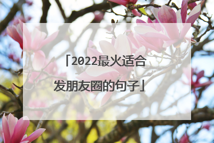 2022最火适合发朋友圈的句子