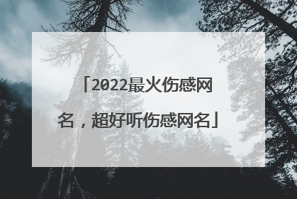 2022最火伤感网名,超好听伤感网名