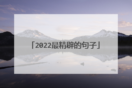 2022最精辟的句子