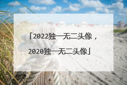 2022独一无二头像,2020独一无二头像