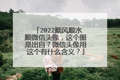 2022顺风顺水顺微信头像,这个图是出自?微信头像用这个有什么含义?