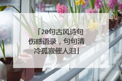 20句古风诗句伤感语录,句句清冷孤寂催人泪