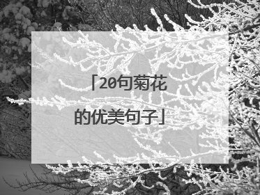 20句菊花的优美句子