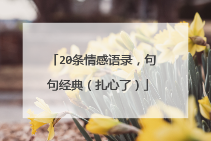 20条情感语录,句句经典(扎心了)