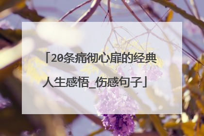 20条痛彻心扉的经典人生感悟_伤感句子