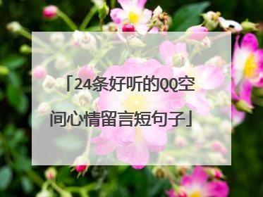 24条好听的QQ空间心情留言短句子