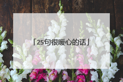 25句很暖心的话