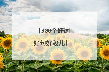 300个好词好句好段儿