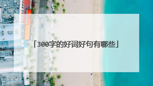 300字的好词好句有哪些