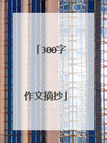 300字作文摘抄