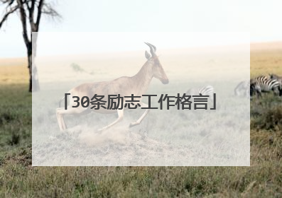 30条励志工作格言
