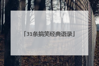 31条搞笑经典语录