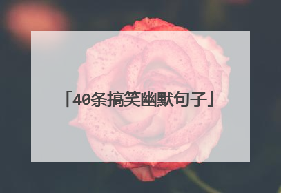 40条搞笑幽默句子