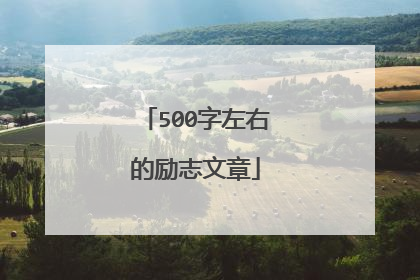 500字左右的励志文章