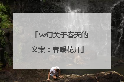 50句关于春天的文案:春暖花开