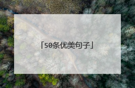 50条优美句子