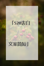 520表白文案简短