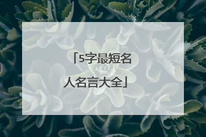 5字最短名人名言大全