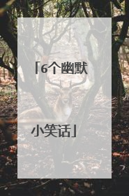 6个幽默小笑话
