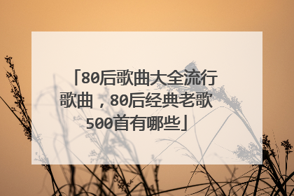 80后歌曲大全流行歌曲,80后经典老歌500首有哪些