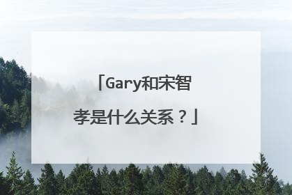 Gary和宋智孝是什么关系？