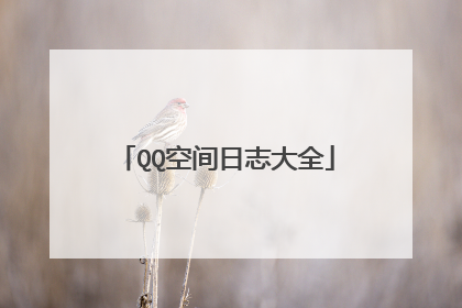 QQ空间日志大全