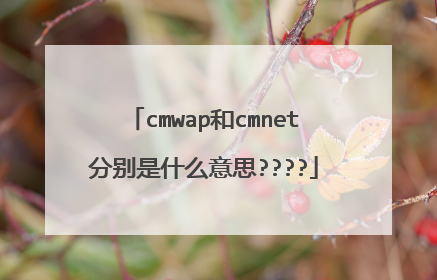 cmwap和cmnet分别是什么意思????