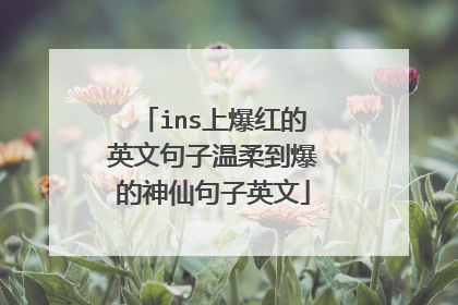 ins上爆红的英文句子温柔到爆的神仙句子英文
