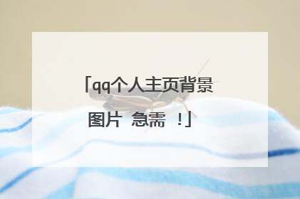 qq个人主页背景图片 急需 !