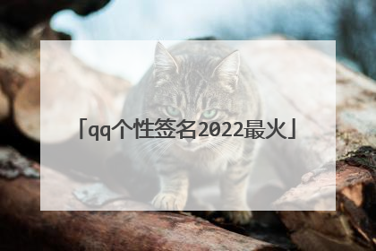 qq个性签名2022最火