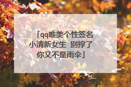 qq唯美个性签名小清新女生 别撑了你又不是雨伞