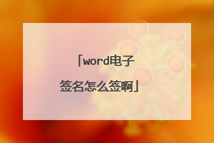 word电子签名怎么签啊